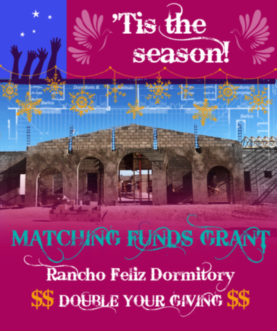 Matching Funds Grant Banner