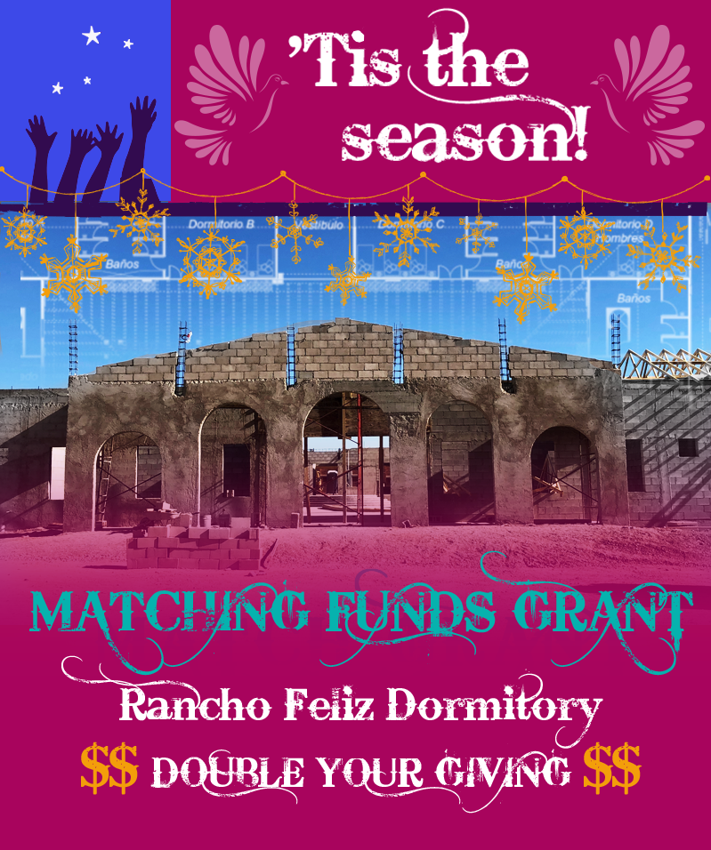 Matching Funds Grant Banner